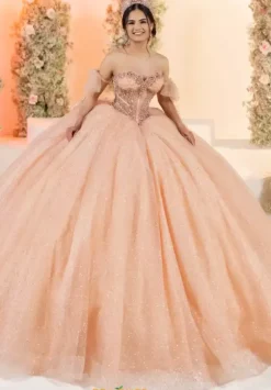 Plus Sized Quince Dresses^LizLuo Quinceanera 56561