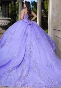 Plus Sized Quince Dresses|Sweet Sixteen^LizLuo Quinceanera 26086