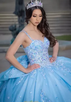 Plus Sized Quince Dresses|Sweet Sixteen^LizLuo Quinceanera 26086