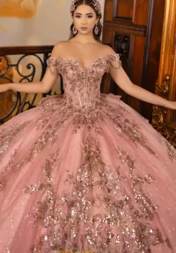 Sweet Sixteen|Plus Sized Quince Dresses^LizLuo Quinceanera 80037