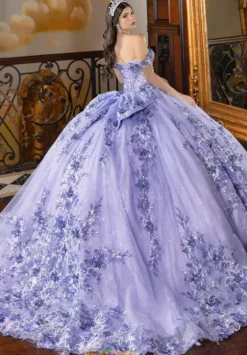Sweet Sixteen|Plus Sized Quince Dresses^LizLuo Quinceanera 80037