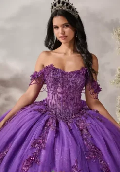 Plus Sized Quince Dresses^LizLuo Quinceanera 80051