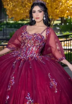 Plus Sized Quince Dresses|Sweet Sixteen^LizLuo Quinceanera 26087