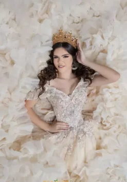 Plus Sized Quince Dresses|Sweet Sixteen^LizLuo Quinceanera 26108
