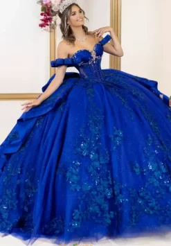 Plus Sized Quince Dresses^LizLuo Quinceanera 80064