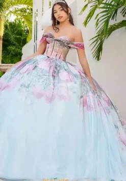 Plus Sized Quince Dresses|Sweet Sixteen^LizLuo Quinceanera 56520