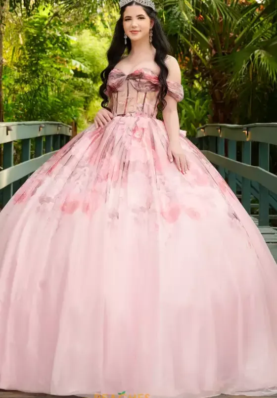 Plus Sized Quince Dresses|Sweet Sixteen^LizLuo Quinceanera 56520