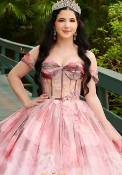 Plus Sized Quince Dresses|Sweet Sixteen^LizLuo Quinceanera 56520