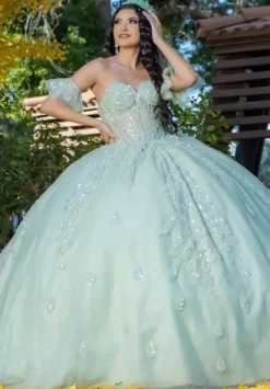 Plus Sized Quince Dresses|Sweet Sixteen^LizLuo Quinceanera 26096