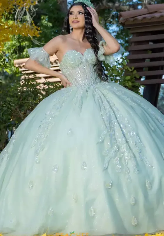 Plus Sized Quince Dresses|Sweet Sixteen^LizLuo Quinceanera 26096
