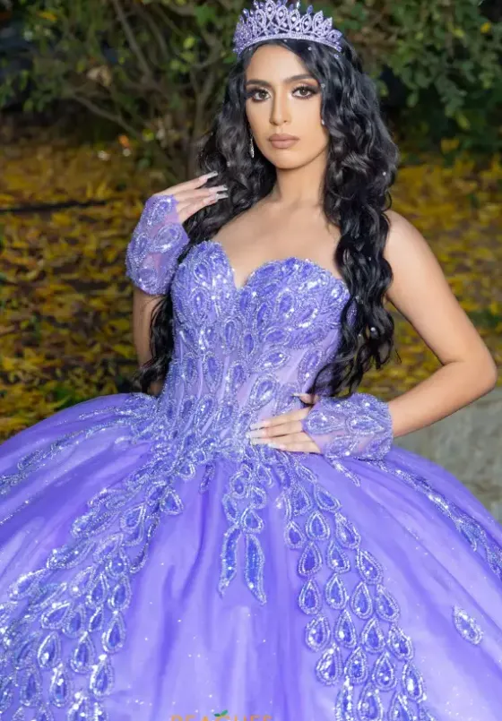 Plus Sized Quince Dresses|Sweet Sixteen^LizLuo Quinceanera 26096