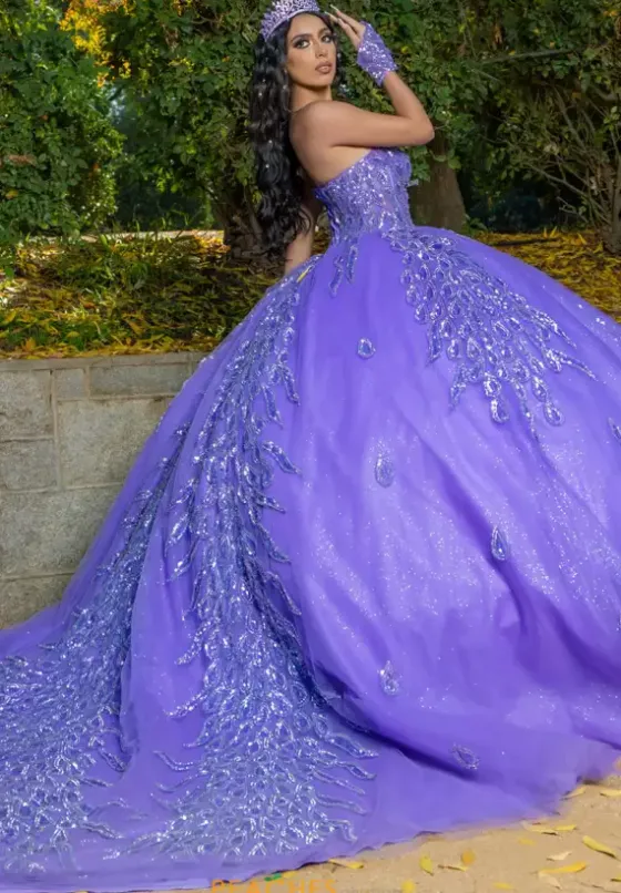 Plus Sized Quince Dresses|Sweet Sixteen^LizLuo Quinceanera 26096