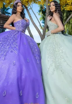 Plus Sized Quince Dresses|Sweet Sixteen^LizLuo Quinceanera 26096