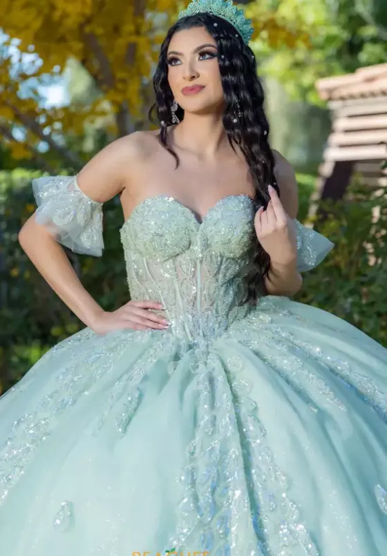 Plus Sized Quince Dresses|Sweet Sixteen^LizLuo Quinceanera 26096
