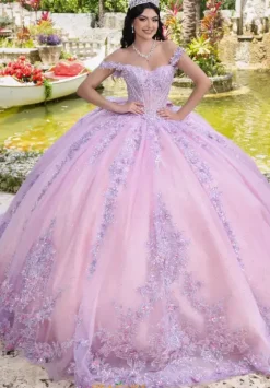 Sweet Sixteen|Plus Sized Quince Dresses^LizLuo Quinceanera 26105