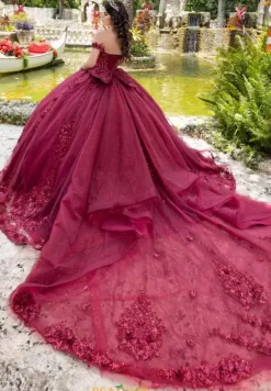 Sweet Sixteen|Plus Sized Quince Dresses^LizLuo Quinceanera 26105