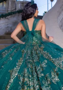 Plus Sized Quince Dresses|Sweet Sixteen^LizLuo Quinceanera 26089