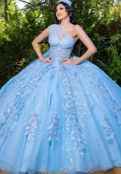 Plus Sized Quince Dresses|Sweet Sixteen^LizLuo Quinceanera 26089