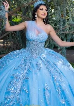 Plus Sized Quince Dresses|Sweet Sixteen^LizLuo Quinceanera 26089