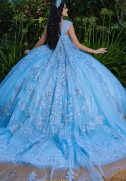Plus Sized Quince Dresses|Sweet Sixteen^LizLuo Quinceanera 26089