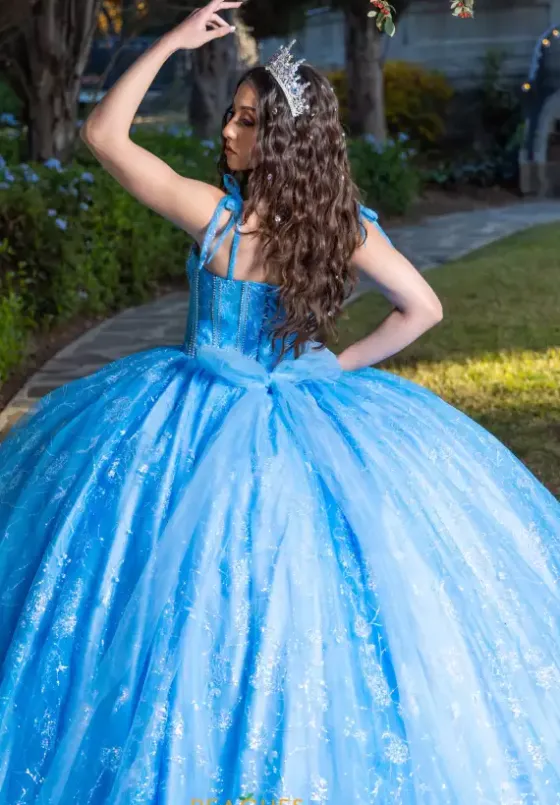 Plus Sized Quince Dresses|Sweet Sixteen^LizLuo Quinceanera 26098