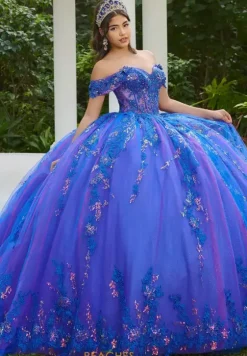 Sweet Sixteen|Plus Sized Quince Dresses^LizLuo Quinceanera 56524