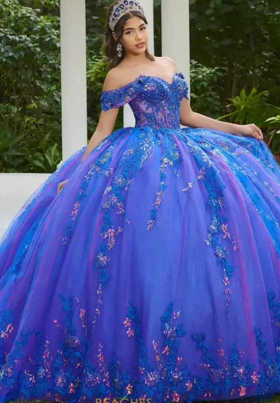 Sweet Sixteen|Plus Sized Quince Dresses^LizLuo Quinceanera 56524