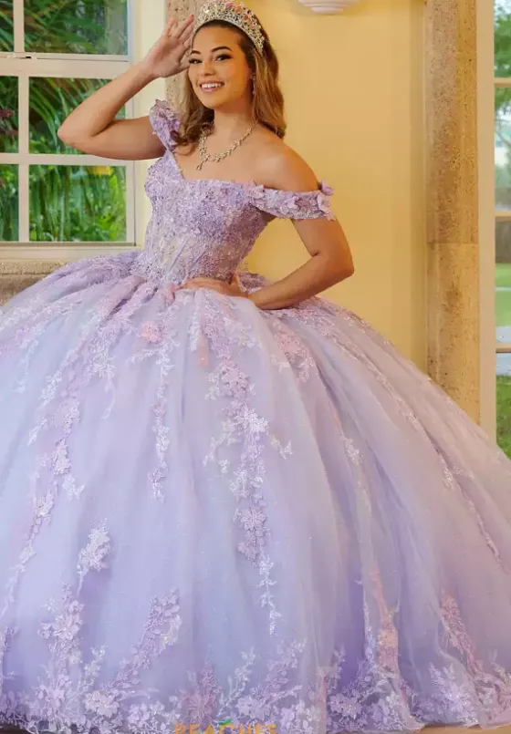 Sweet Sixteen|Plus Sized Quince Dresses^LizLuo Quinceanera 56524