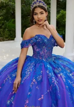 Sweet Sixteen|Plus Sized Quince Dresses^LizLuo Quinceanera 56524