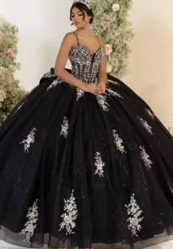 Sweet Sixteen|Plus Sized Quince Dresses^LizLuo Quinceanera 56559