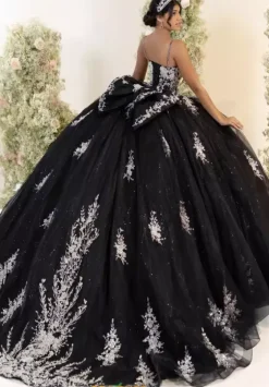 Sweet Sixteen|Plus Sized Quince Dresses^LizLuo Quinceanera 56559