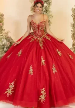 Sweet Sixteen|Plus Sized Quince Dresses^LizLuo Quinceanera 56559