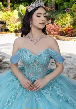 Plus Sized Quince Dresses|Sweet Sixteen^LizLuo Quinceanera 26107