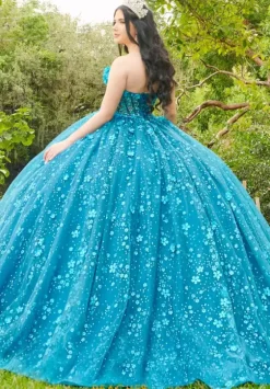 Plus Sized Quince Dresses|Sweet Sixteen^LizLuo Quinceanera 56512