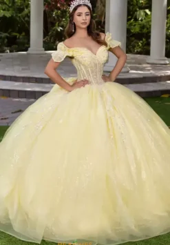 Plus Sized Quince Dresses|Sweet Sixteen^LizLuo Quinceanera 56535