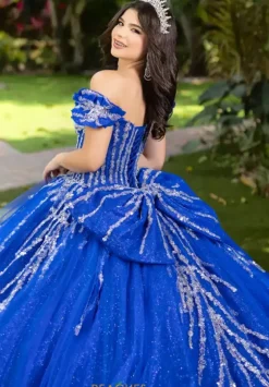 Plus Sized Quince Dresses|Sweet Sixteen^LizLuo Quinceanera 56535