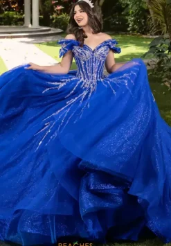 Plus Sized Quince Dresses|Sweet Sixteen^LizLuo Quinceanera 56535