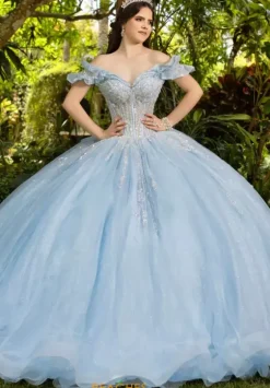 Plus Sized Quince Dresses|Sweet Sixteen^LizLuo Quinceanera 56535