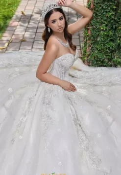 Sweet Sixteen|Plus Sized Quince Dresses^LizLuo Quinceanera 56532