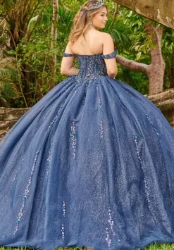 Plus Sized Quince Dresses|Sweet Sixteen^LizLuo Quinceanera 56509