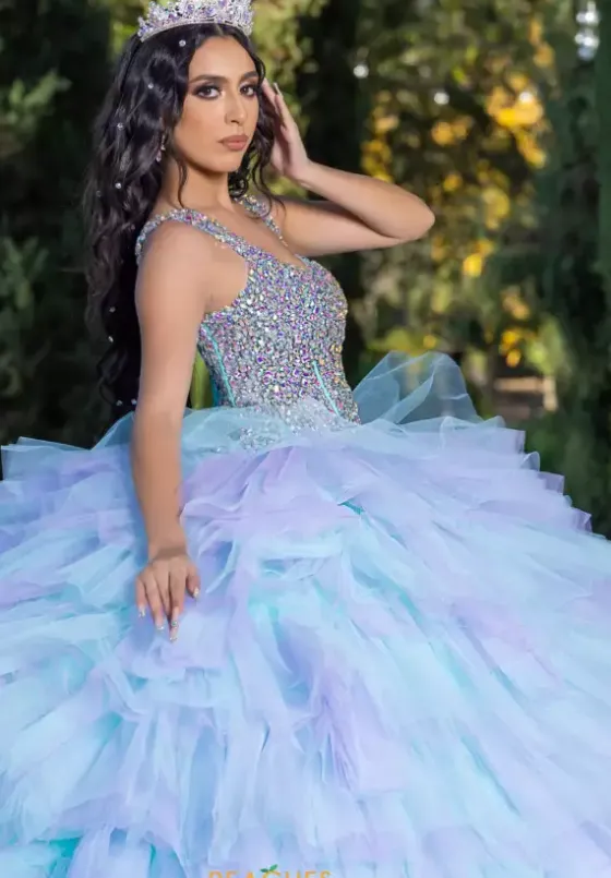 Plus Sized Quince Dresses|Sweet Sixteen^LizLuo Quinceanera 26095