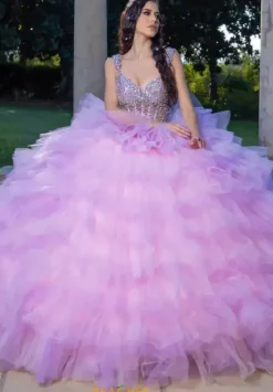 Plus Sized Quince Dresses|Sweet Sixteen^LizLuo Quinceanera 26095