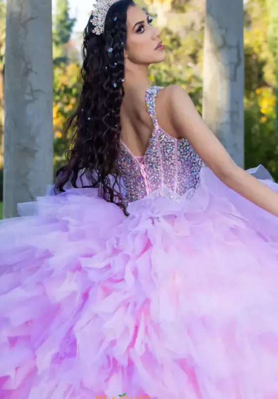 Plus Sized Quince Dresses|Sweet Sixteen^LizLuo Quinceanera 26095
