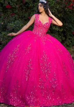 Plus Sized Quince Dresses|Sweet Sixteen^LizLuo Quinceanera 26091