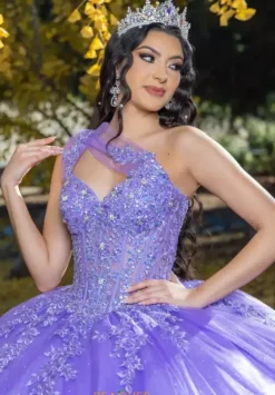 Plus Sized Quince Dresses|Sweet Sixteen^LizLuo Quinceanera 26091