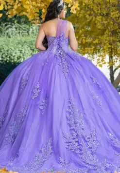 Plus Sized Quince Dresses|Sweet Sixteen^LizLuo Quinceanera 26091