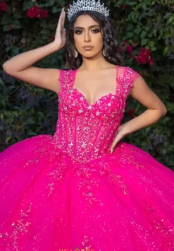 Plus Sized Quince Dresses|Sweet Sixteen^LizLuo Quinceanera 26091