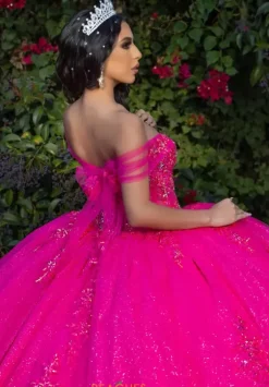 Plus Sized Quince Dresses|Sweet Sixteen^LizLuo Quinceanera 26091