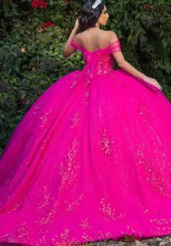 Plus Sized Quince Dresses|Sweet Sixteen^LizLuo Quinceanera 26091