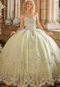 Plus Sized Quince Dresses^LizLuo Quinceanera 26125